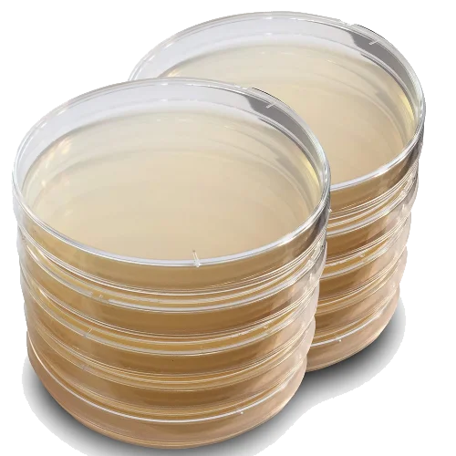 Dishes(General Purpose)