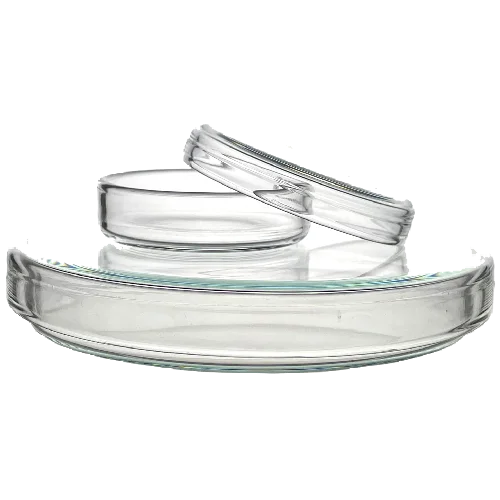 Petri Dish Glass/ Plastic
